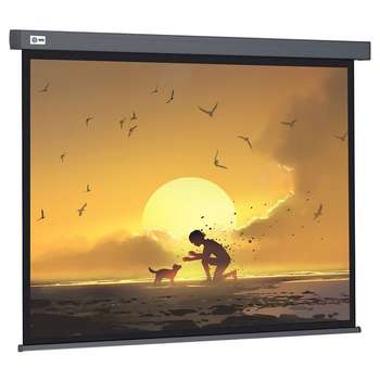 Экран CACTUS 124.5x221см Wallscreen CS-PSW-124X221-SG 16:9 настенно-потолочный рулонный серый